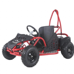 800W ELECTRIC GO KARTS BUGGY