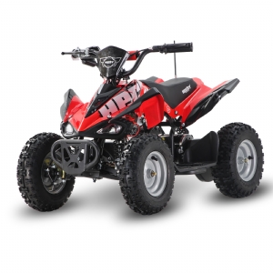 ELECTRIC 36V 800W MINI ATV QUADS MLE800B